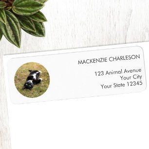 PET Photo Circle Retour-adreslabel Etiket