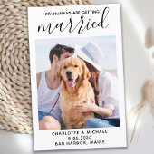 Pet Photo Dog Weddenschap Mijn mensen trouwen