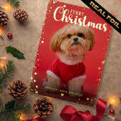 Pet Photo Golden Star Frame Folie Feestdagenkaart