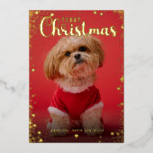 Pet Photo Golden Star Frame  Folie Feestdagenkaart (Voorkant)