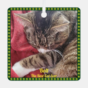 Pet Photo Green Gold Border Name Gezegde Ornament