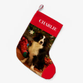 Pet Photo Holiday Kleine Kerstsok (Voorkant (Hangend))