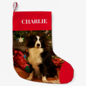 Pet Photo Holiday Kleine Kerstsok (Voorkant)