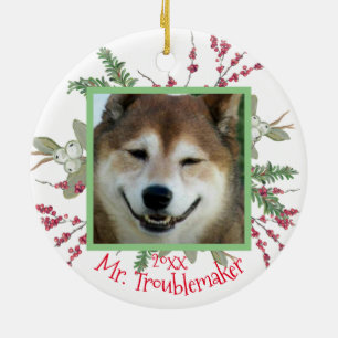 Pet Photo-kerstkast (aangepast) Keramisch Ornament
