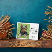 Pet Photo Memorial Always on our Minds Fotoplaat (Zijkant)