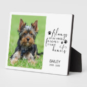 Pet Photo Memorial Always on our Minds Fotoplaat (Zijkant)