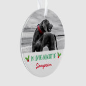Pet Photo Memorial Christmas Holly Ornament (voorkant)