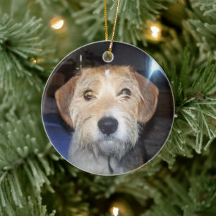 PET PHOTO Memorial met typografie Ornament