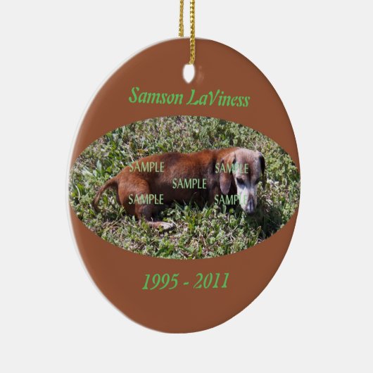 Pet Photo Memorial Ornament (Rechts)