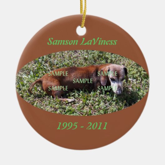 Pet Photo Memorial Ornament (Voorkant)
