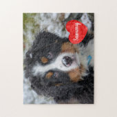 Pet Photo Memorial - Pet Keepomwille - Hondenliefh Legpuzzel (Verticaal)