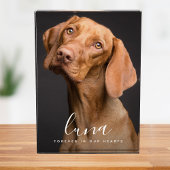 Pet Photo Memorial Sympathy Tribute Fotoblokken