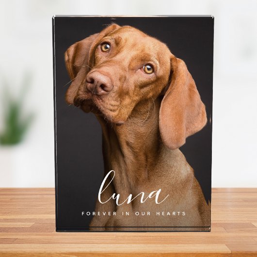 Pet Photo Memorial Sympathy Tribute Fotoblokken