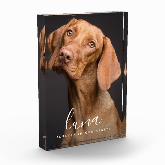 Pet Photo Memorial Sympathy Tribute Fotoblokken (Links)