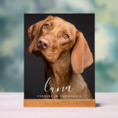 Pet Photo Memorial Tribute Acryl Bord (Neutraal)