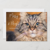 Pet Photo Merry en Bright Feestdagenkaart (Voorkant)