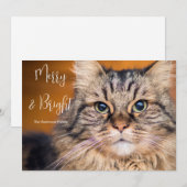 Pet Photo Merry en Bright Feestdagenkaart (Voorkant / Achterkant)
