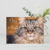 Pet Photo Merry en Bright Feestdagenkaart (Staand voorkant)