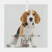 Pet Photo Modern Script - Eerste Kerstmis Glas Ornament (Achterkant)