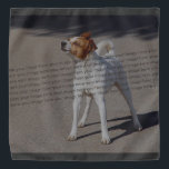 PET Photo ✨ Mooie Custom Bandana<br><div class="desc">PET Photo Lovely– episch Afbeelding PET Photo ✨ Lovely Custom Leg uw meest gekoesterde momenten vast met deze prachtige PET-foto mooie ! 💖 Creëer Een hartverwarmende aandenken met epische van uw favoriete foto's, prachtig gerangschikt in een stijlvol ontwerp. Of je nu een PET-reünie viert, vakantieherinneringen deelt of een attent cadeau...</div>