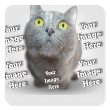 PET Photo ✨ Mooie Custom