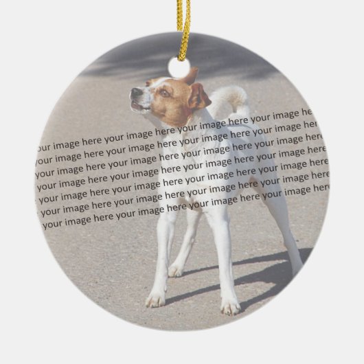 PET Photo ✨ Mooie Custom Keramisch Ornament (Voorkant)