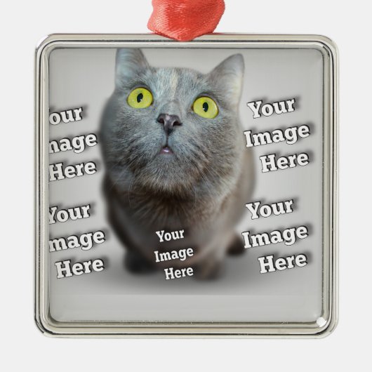 PET Photo ✨ Mooie Custom Metalen Ornament (Voorkant)