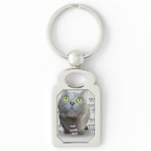 PET Photo ✨ Mooie Custom