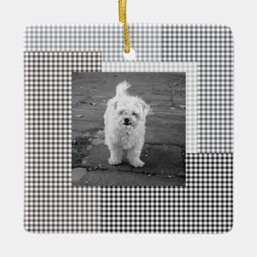 Pet PHOTO NAAM JAAR Klassieke Neutral Gingham Fun Keramisch Ornament (Voorkant)
