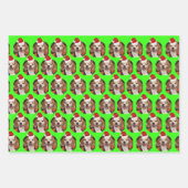 Pet Photo Neon Kleuren Santa Hoeden op Hoofd Kerst Inpakpapier Vel (Voorkant)