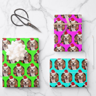Pet Photo Neon Kleuren Santa Hoeden op Hoofd Kerst Inpakpapier Vel
