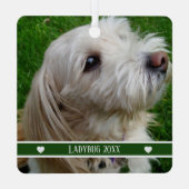 Pet Photo Ornament with Custom Name and Year (Achterkant)