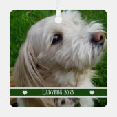 Pet Photo Ornament with Custom Name and Year (Voorkant)