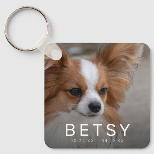 Pet Photo Rainbow Bridge Memorial Sleutelhanger (Voorkant)