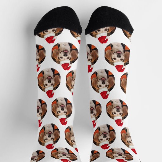 Pet Photo Red White Santa Hats op kerst Sokken (Top)