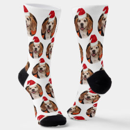 Pet Photo Red White Santa Hats op kerst Sokken