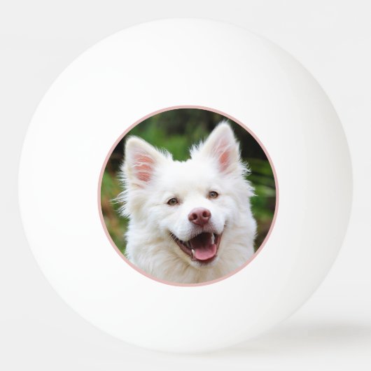 Pet Photo Roze Lijst gepersonaliseerd Pingpongbal (Achterkant)
