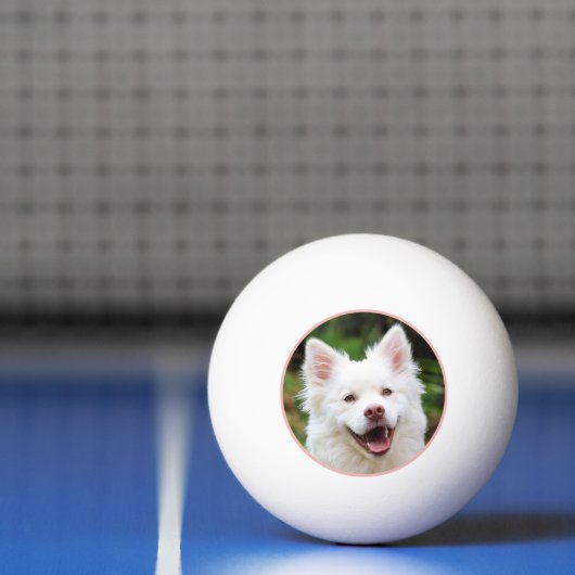 Pet Photo Roze Lijst gepersonaliseerd Pingpongbal (Net)