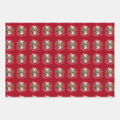 Pet Photo Santa Hat & Snowflakes Red Green Navy Inpakpapier Vel (Voorkant 3)