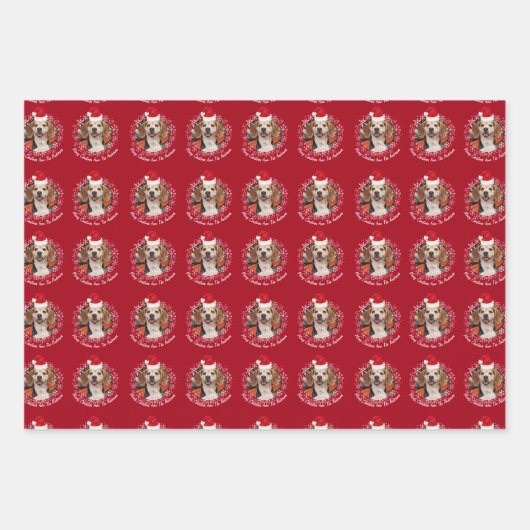 Pet Photo Santa Hat & Snowflakes Red Green Navy Inpakpapier Vel (Voorkant 3)