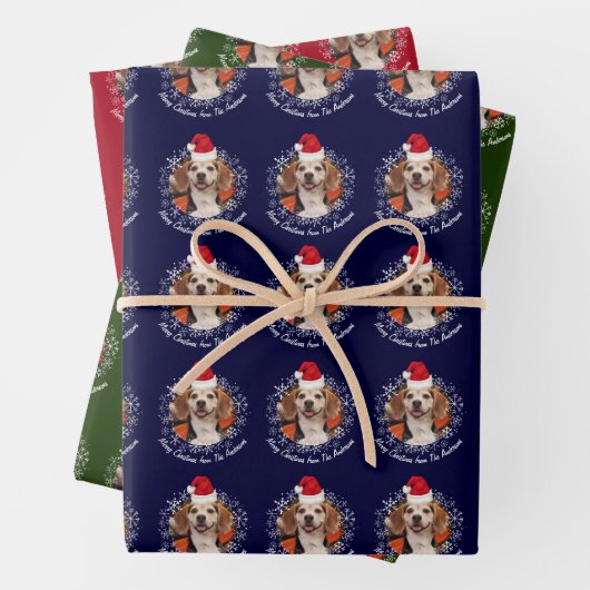 Pet Photo Santa Hat & Snowflakes Red Green Navy Inpakpapier Vel (In situ)