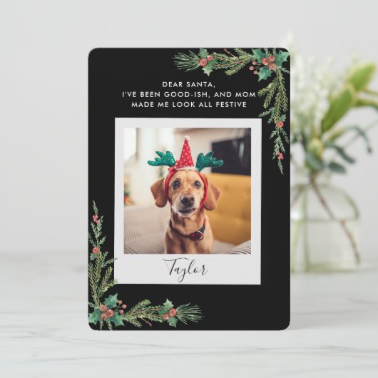 Pet Photo Script Funny Dog Christmas Feestdagenkaart (Staand voorkant)