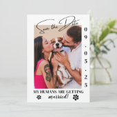 Pet Photo Simple Wedding Sla de datum online op Kaart (Staand voorkant)
