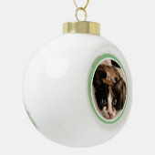 Pet Photo Template Snowflake Framed Ornament (Links)