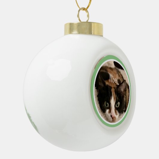 Pet Photo Template Snowflake Framed Ornament (Links)