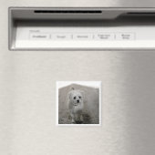 Pet Photo Timeless Keepomwille Dog mam Magneet (Insitu (Vaatwasser))