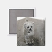 Pet Photo Timeless Keepomwille Dog mam Magneet (Voorkant / Achterkant)