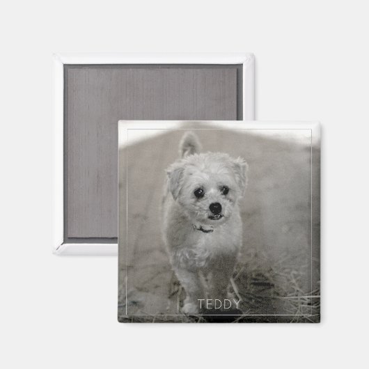 Pet Photo Timeless Keepomwille Dog mam Magneet (Voorkant / Achterkant)