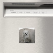 Pet Photo Timeless Keepomwille Dog mam Magneet (Insitu (Vaatwasser))