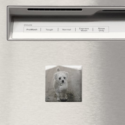Pet Photo Timeless Keepomwille Dog mam Magneet (Insitu (Vaatwasser))